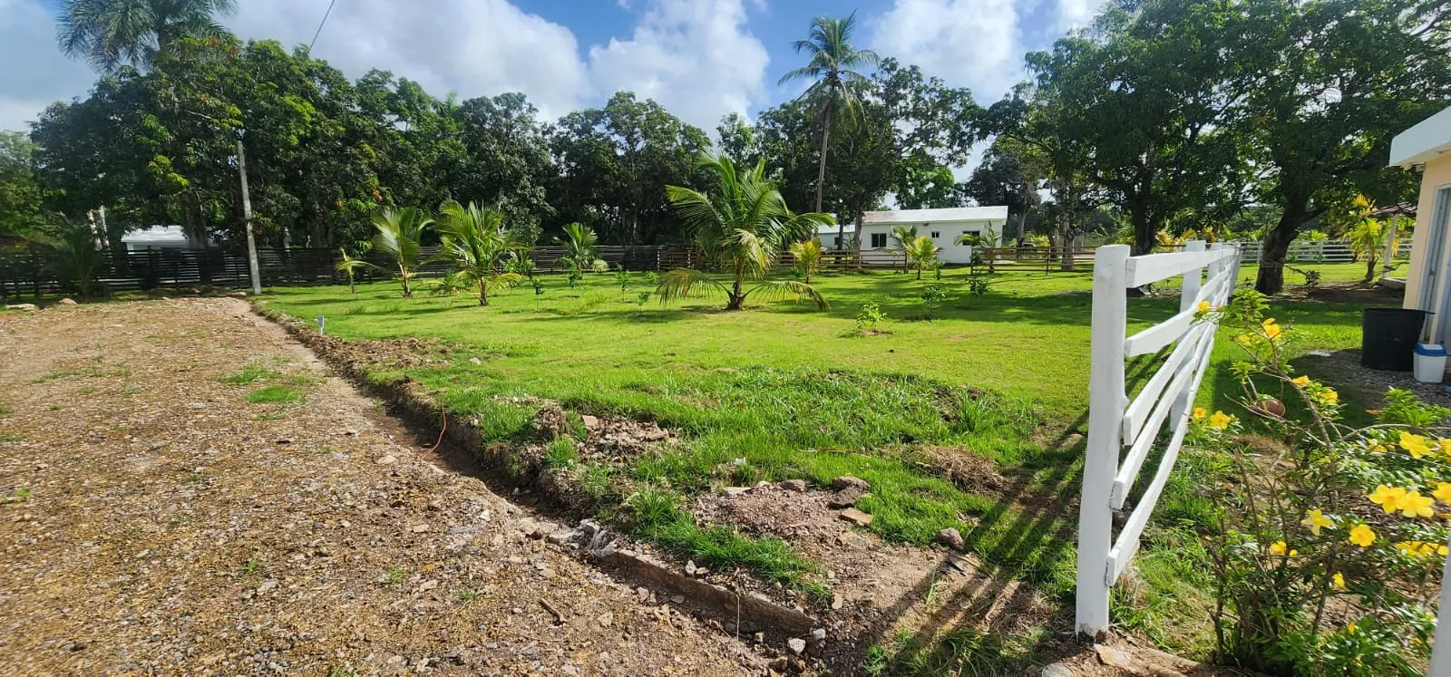 Terreno en Venta de 1,830 m² para Desarrollo Inmobiliario — foto 11