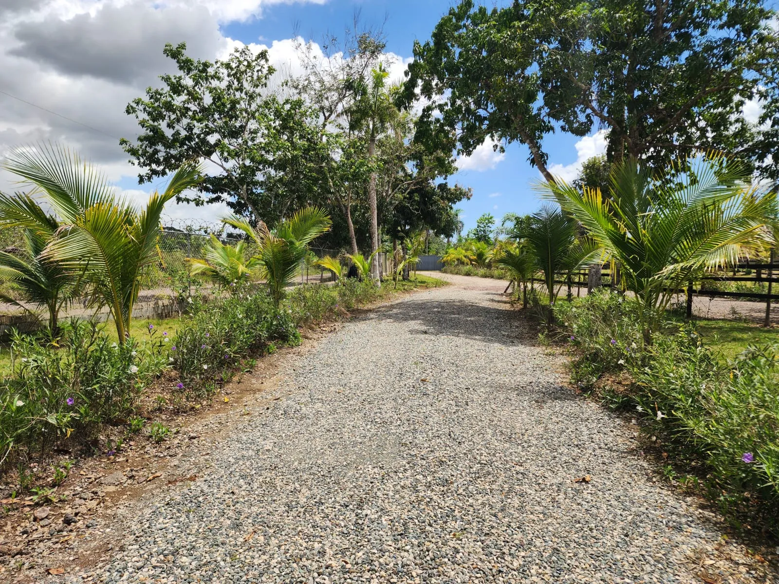 Terreno en Venta de 1,830 m² para Desarrollo Inmobiliario — foto 2