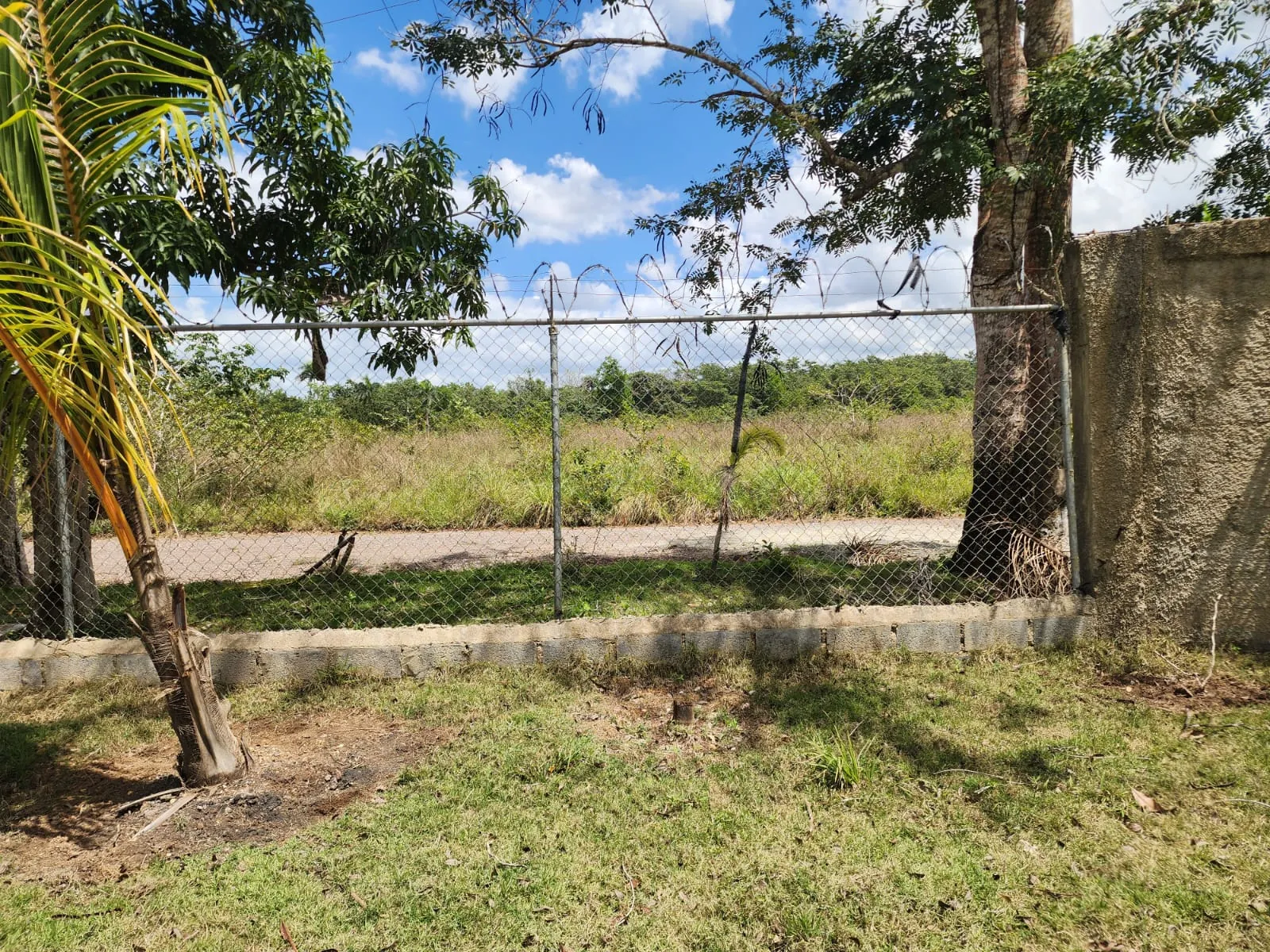 Terreno en Venta de 1,830 m² para Desarrollo Inmobiliario — foto 4
