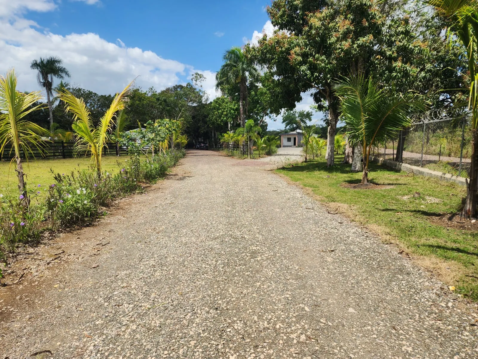 Terreno en Venta de 1,830 m² para Desarrollo Inmobiliario — foto 6