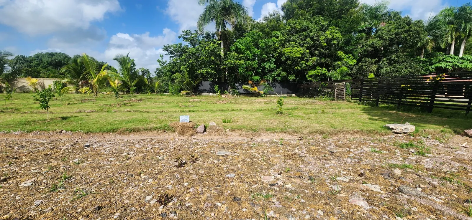 Terreno en Venta de 1,830 m² para Desarrollo Inmobiliario — foto 8