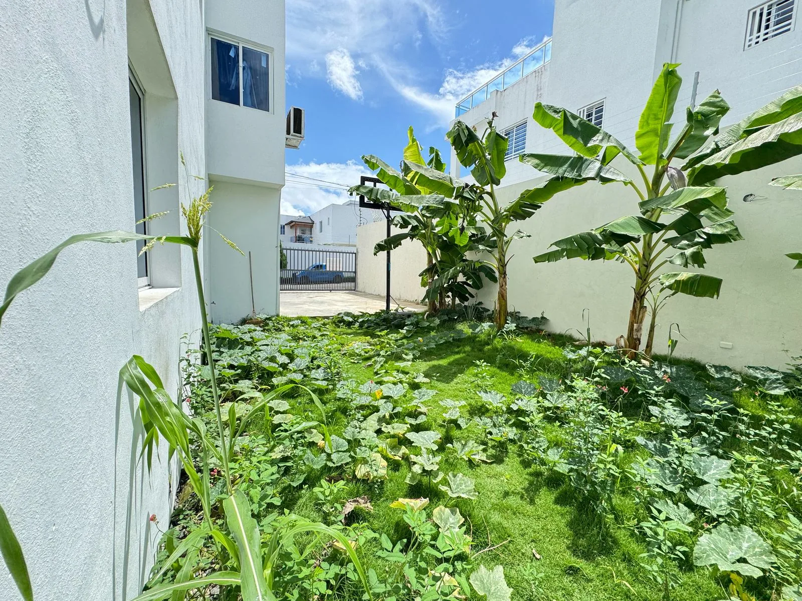 Casa Nueva en Venta en Av. República de Colombia, Santo Domingo — 3 Hab, 4 Baños — foto 6
